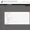 Debug view of an order payload before its events are sent