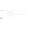 Comportement d’affichage : visibilité mobile, délai de chargement et ciblage des pages