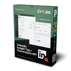 LinkedIn Insight Tag + Conversions API