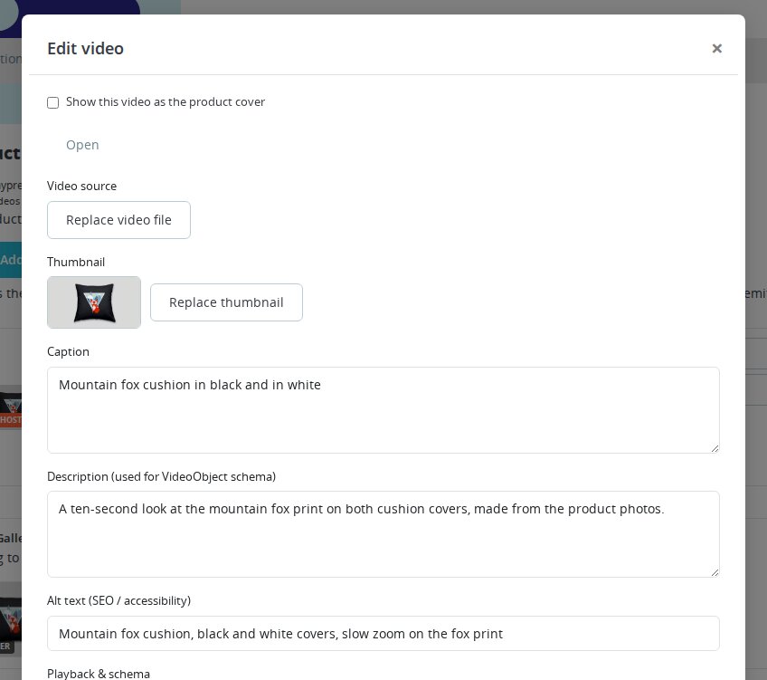 Video editor showing the source, thumbnail, caption, description and alternative text
