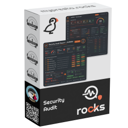 Security Audit