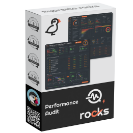 Performance Audit