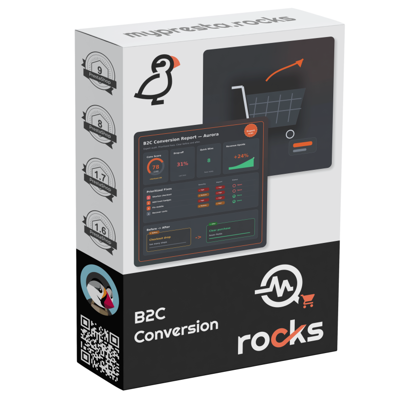 B2C Conversion Audit
