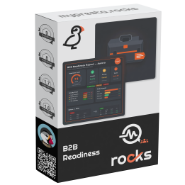 B2B Readiness Audit