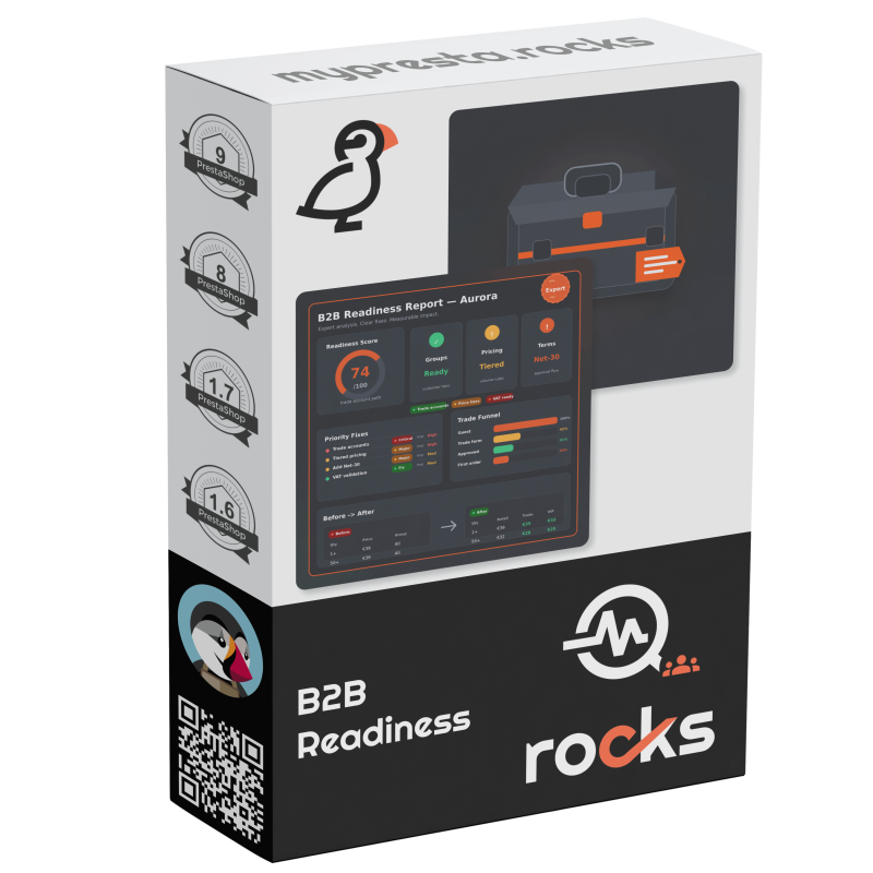 B2B Readiness Audit