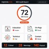 SEO audit report dashboard with scores, issues and Core Web Vitals